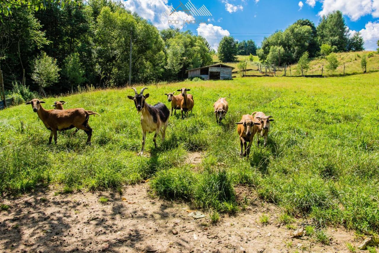 Apartamenty Pod Jaworzem Ptaszkowa Buitenkant foto