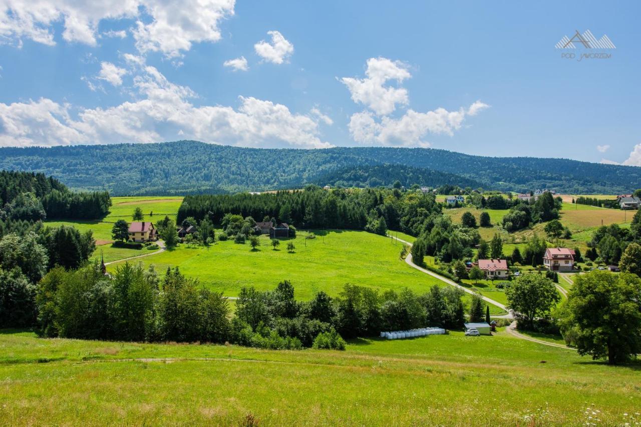 Apartamenty Pod Jaworzem Ptaszkowa Buitenkant foto