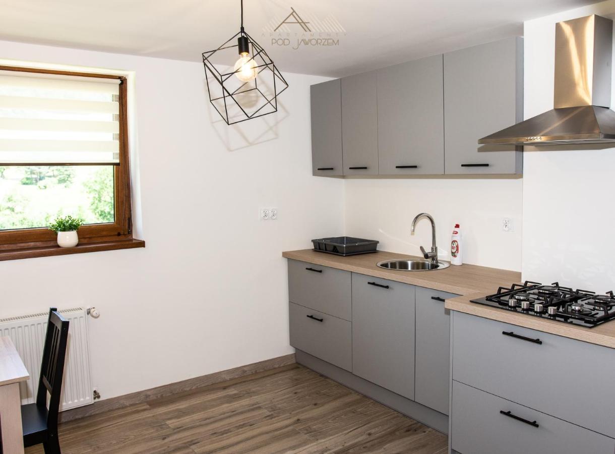 Apartamenty Pod Jaworzem Ptaszkowa Buitenkant foto